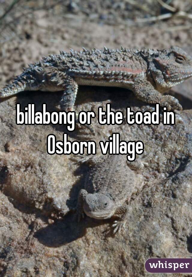 billabong or the toad in Osborn village 