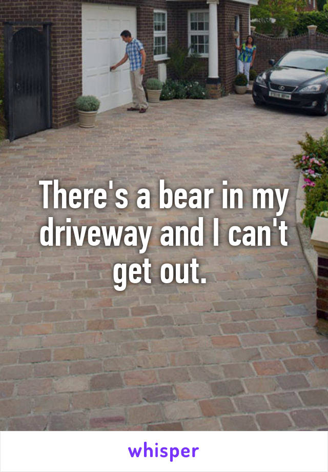 There's a bear in my driveway and I can't get out. 