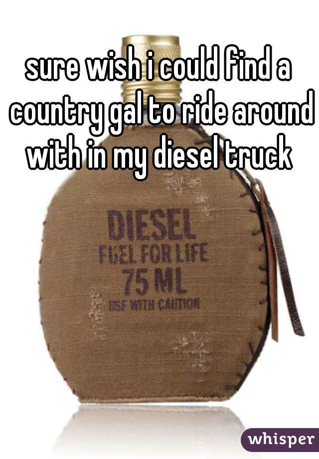 sure wish i could find a country gal to ride around with in my diesel truck 