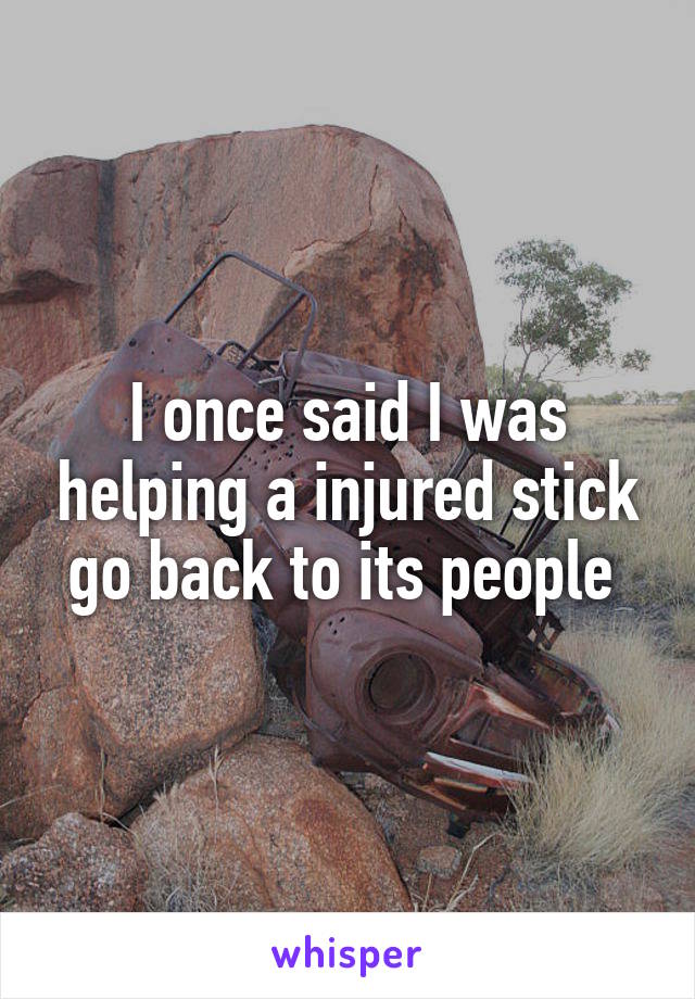 I once said I was helping a injured stick go back to its people 