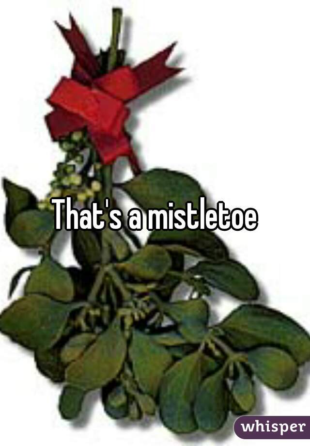 That's a mistletoe