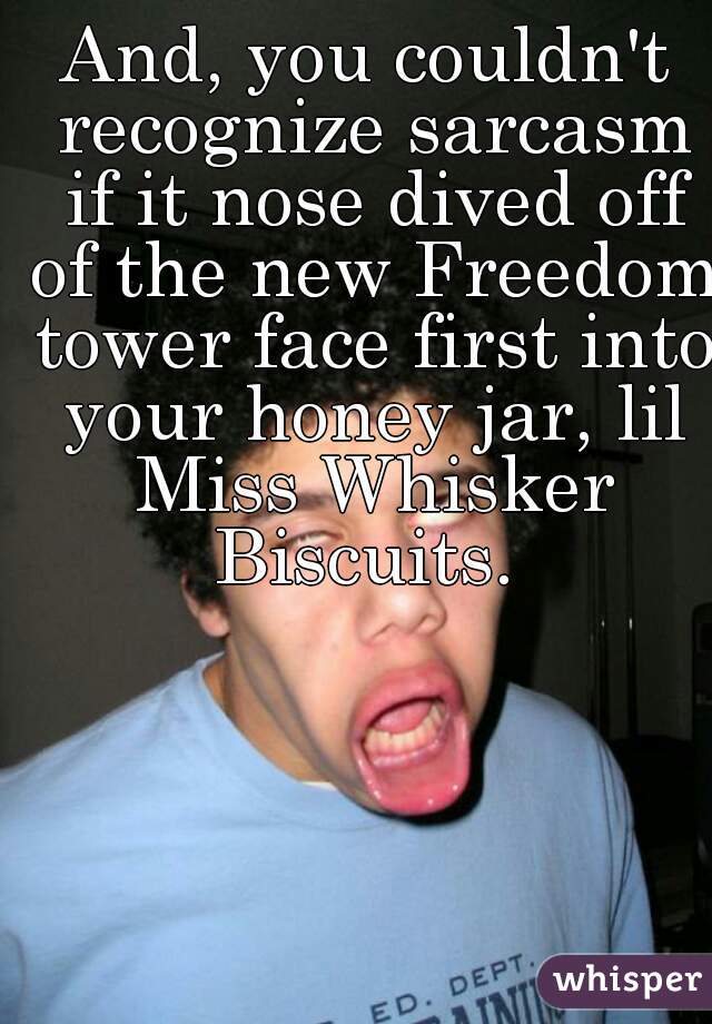 And, you couldn't recognize sarcasm if it nose dived off of the new Freedom tower face first into your honey jar, lil Miss Whisker Biscuits. 