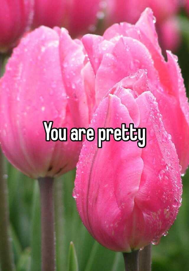 you-are-pretty