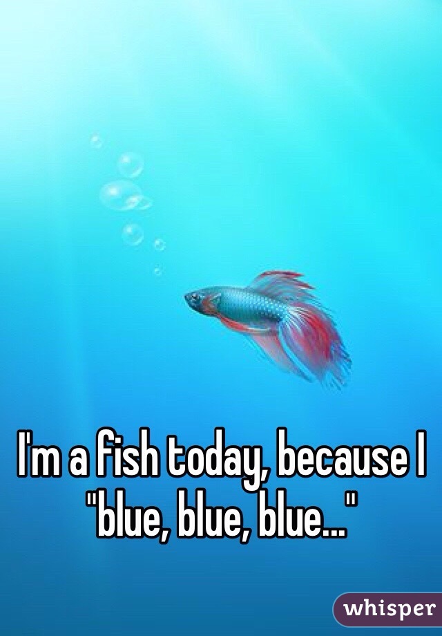 I'm a fish today, because I "blue, blue, blue..."