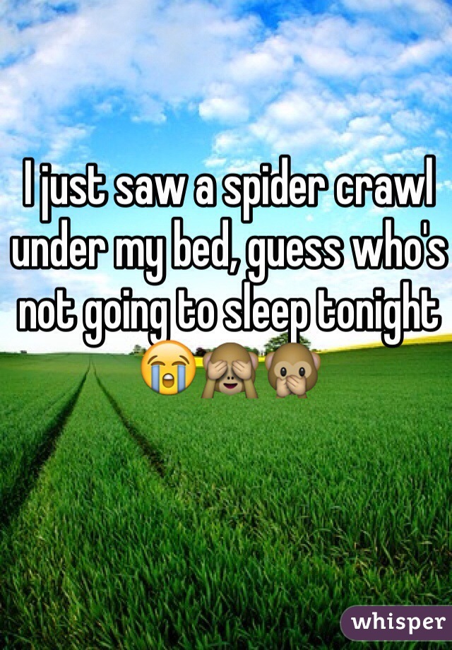 I just saw a spider crawl under my bed, guess who's not going to sleep tonight😭🙈🙊