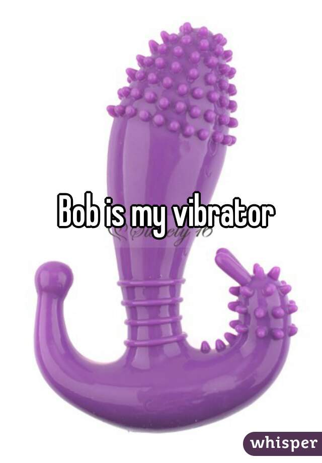 Bob is my vibrator 