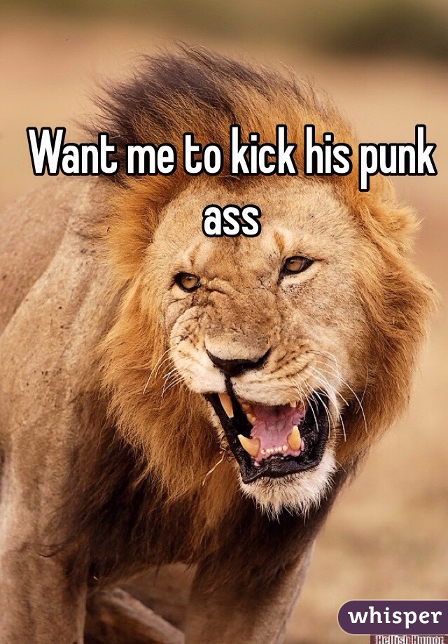 Want me to kick his punk ass