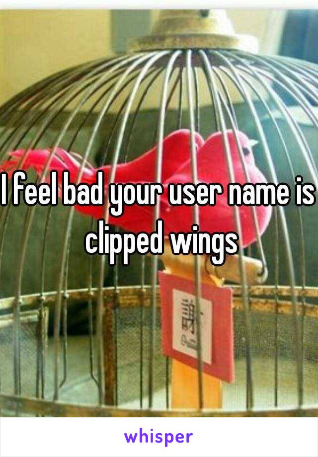 I feel bad your user name is clipped wings