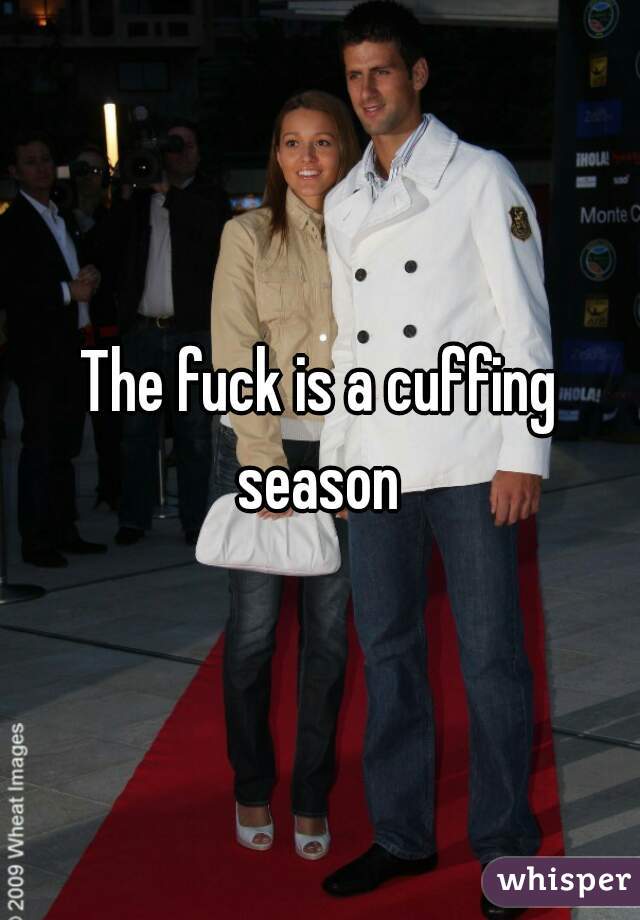 The fuck is a cuffing season 