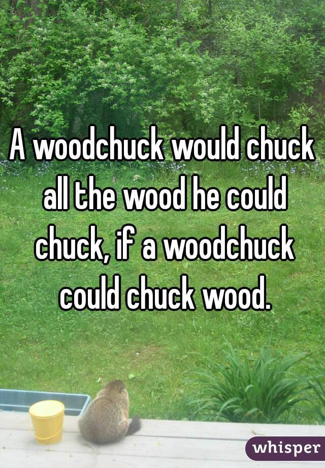A woodchuck would chuck all the wood he could chuck, if a woodchuck could chuck wood.