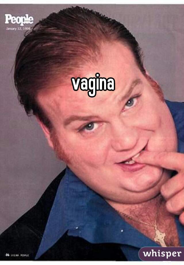 vagina