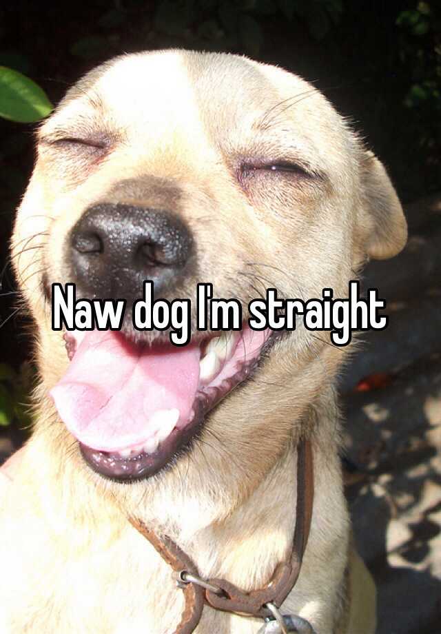 naw-dog-i-m-straight