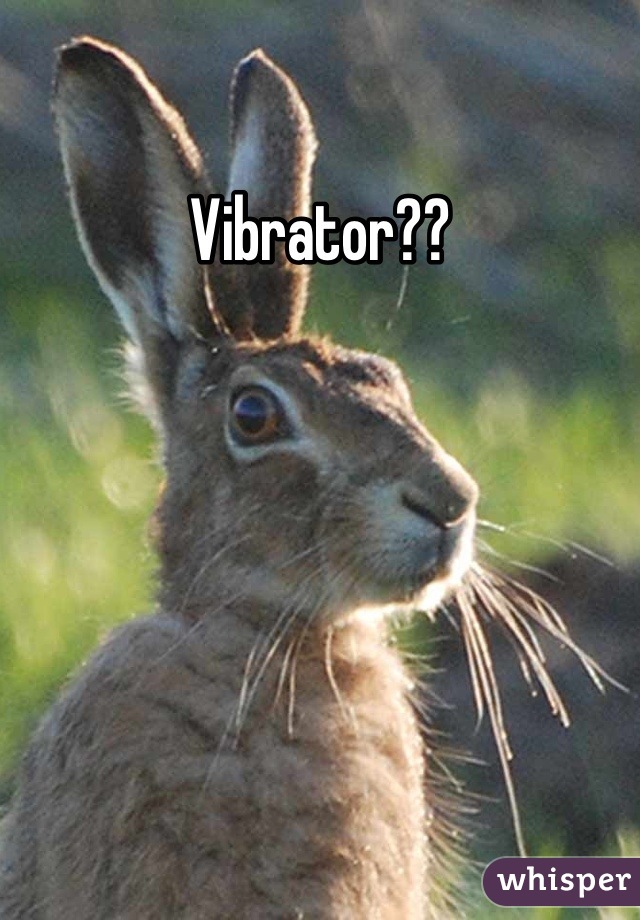 Vibrator??