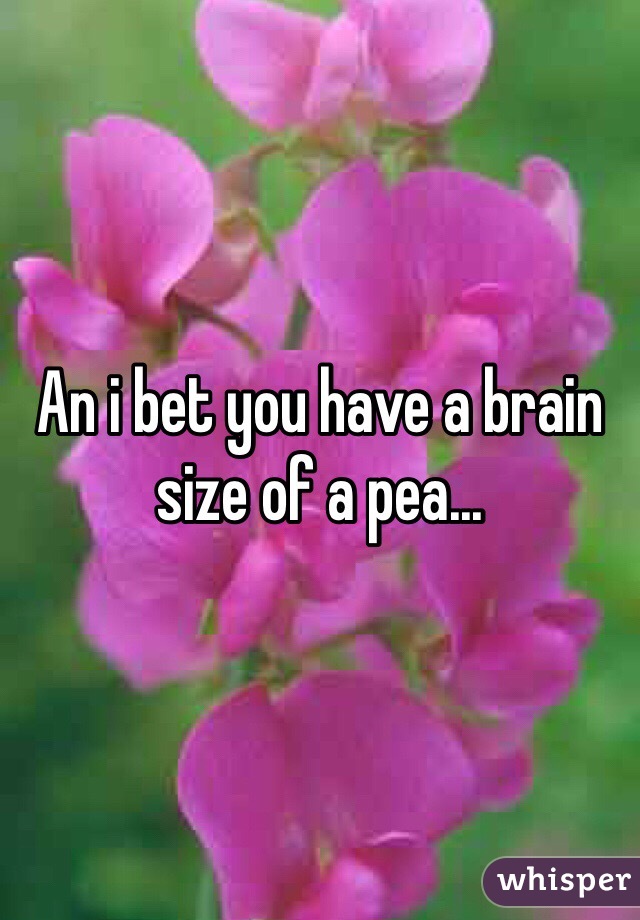 An i bet you have a brain size of a pea... 