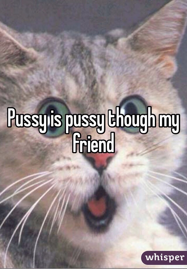 Pussy is pussy though my friend