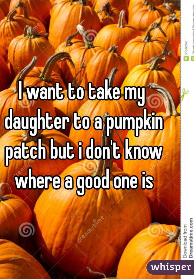 I want to take my daughter to a pumpkin patch but i don't know where a good one is