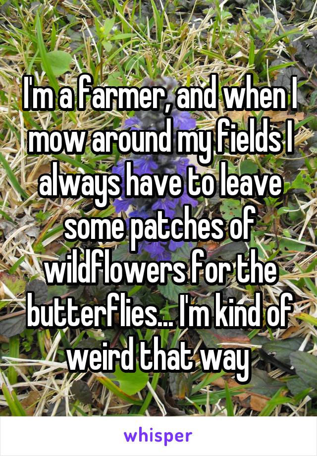 I'm a farmer, and when I mow around my fields I always have to leave some patches of wildflowers for the butterflies... I'm kind of weird that way 