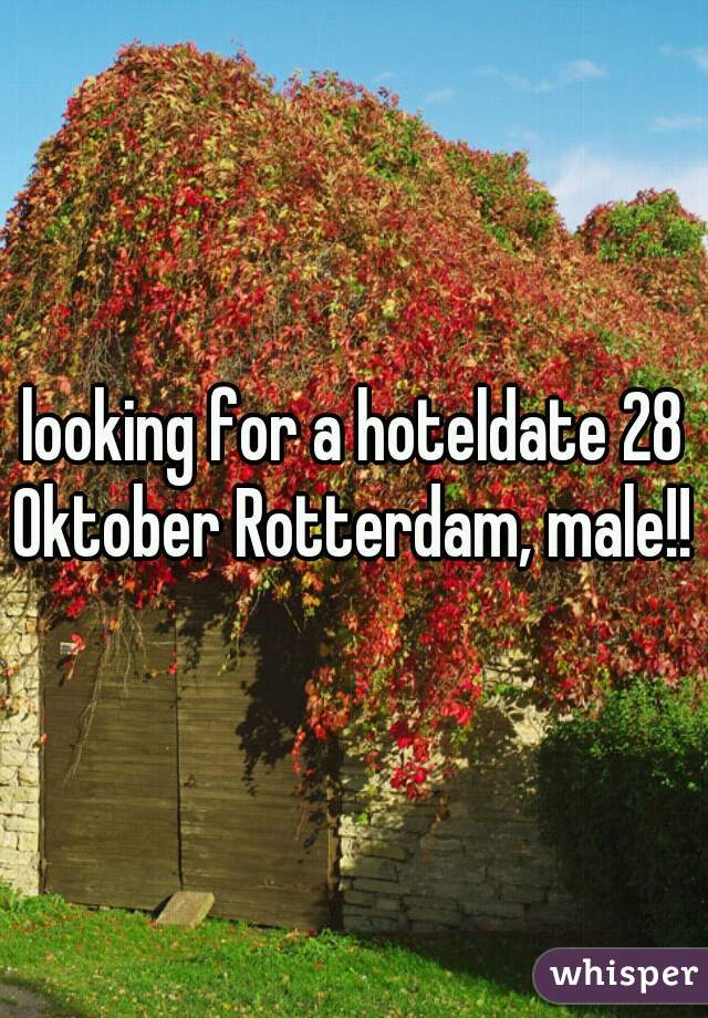 looking for a hoteldate 28 Oktober Rotterdam, male!!