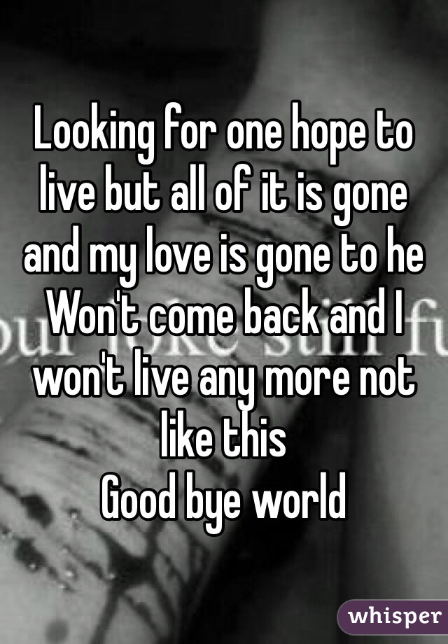 Looking for one hope to live but all of it is gone and my love is gone to he Won't come back and I won't live any more not like this 
Good bye world 