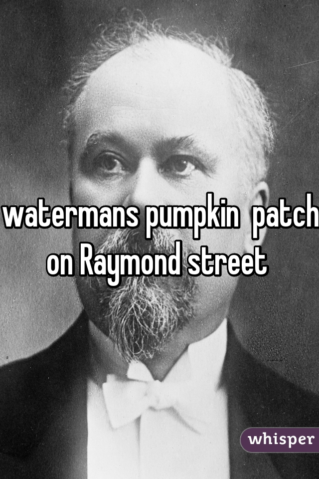 watermans pumpkin  patch on Raymond street 