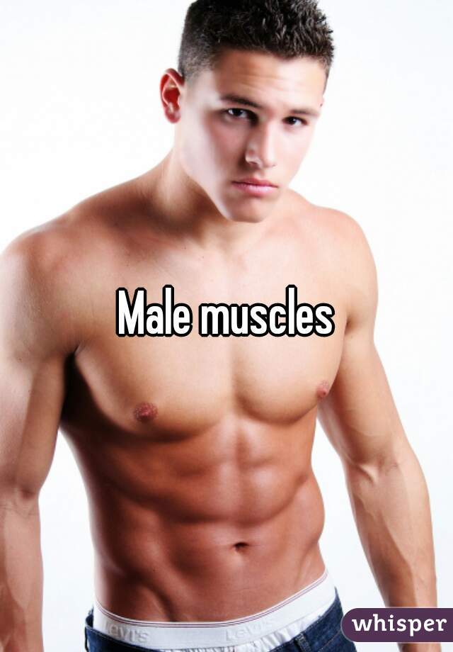 Male muscles