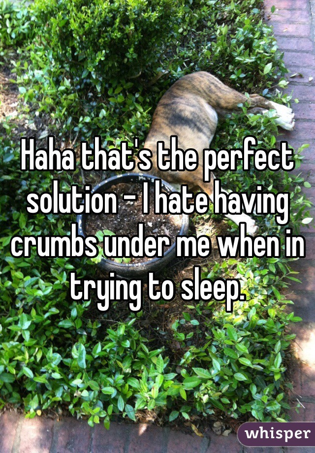 Haha that's the perfect solution - I hate having crumbs under me when in trying to sleep.