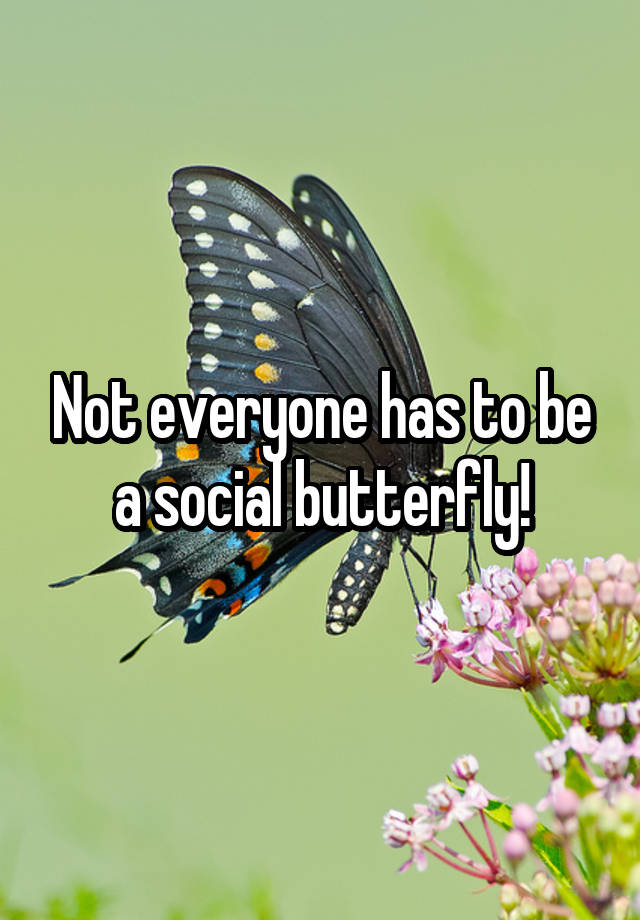 not-everyone-has-to-be-a-social-butterfly