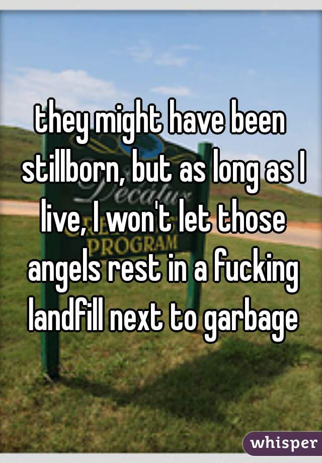 they might have been stillborn, but as long as I live, I won't let those angels rest in a fucking landfill next to garbage