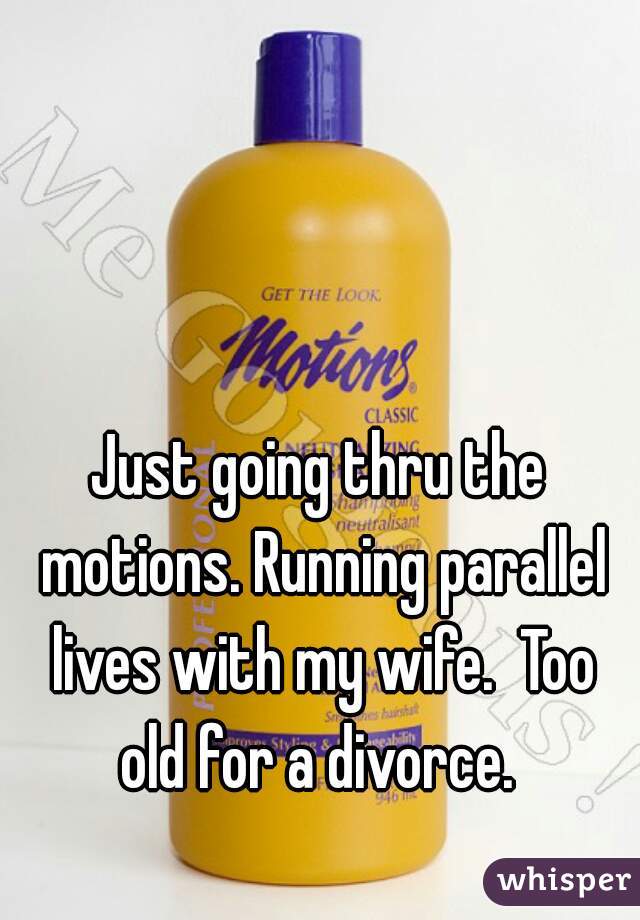 Just going thru the motions. Running parallel lives with my wife.  Too old for a divorce. 