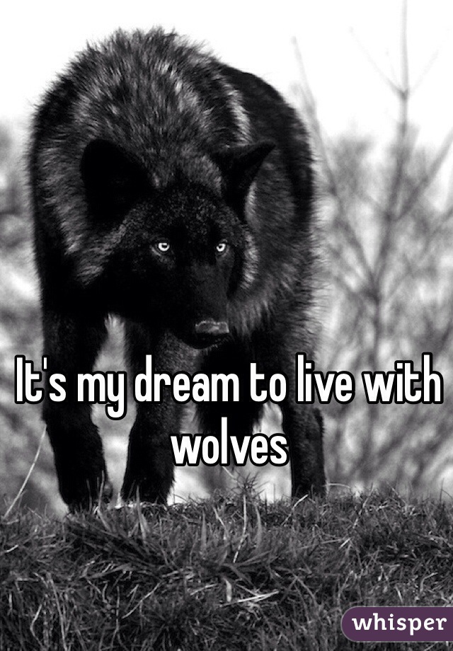It's my dream to live with wolves