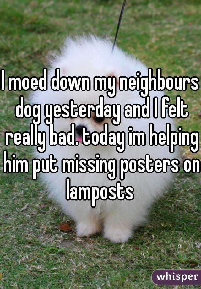 I moed down my neighbours dog yesterday and I felt really bad. today im helping him put missing posters on lamposts 