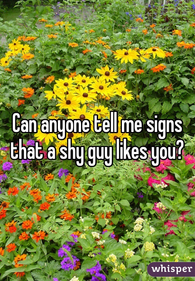 Can anyone tell me signs that a shy guy likes you? 