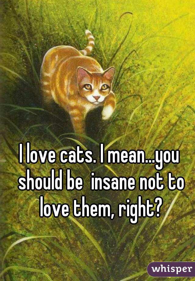 I love cats. I mean...you should be  insane not to love them, right?
 