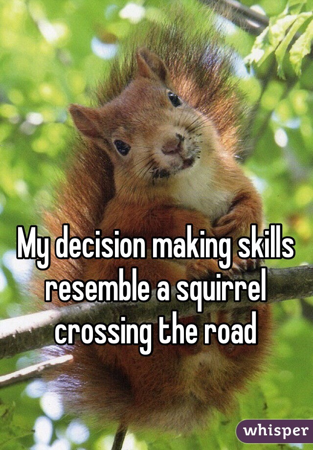 My decision making skills resemble a squirrel crossing the road