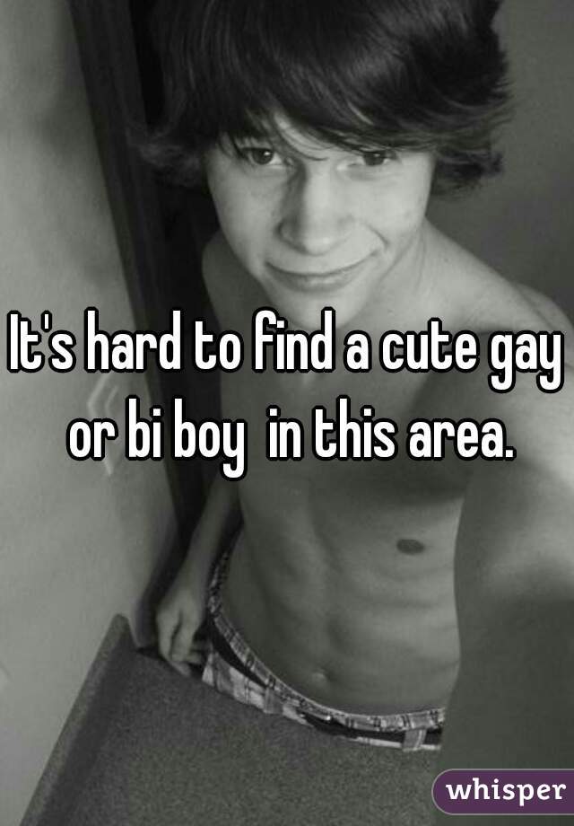 It's hard to find a cute gay or bi boy  in this area.