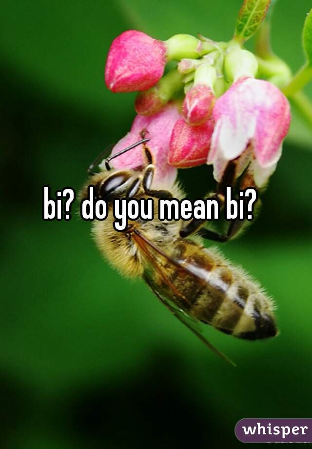 bi? do you mean bi?