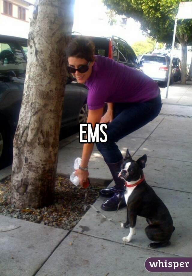 EMS 