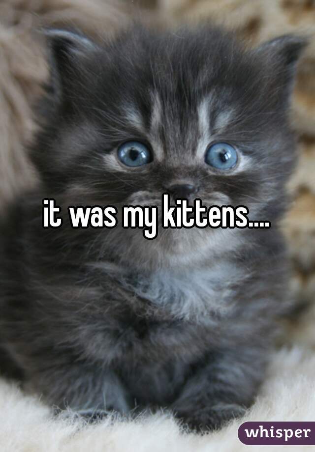 it was my kittens....