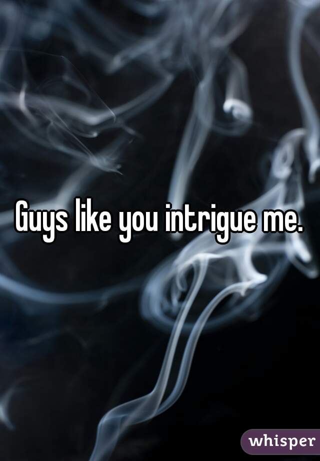Guys like you intrigue me.