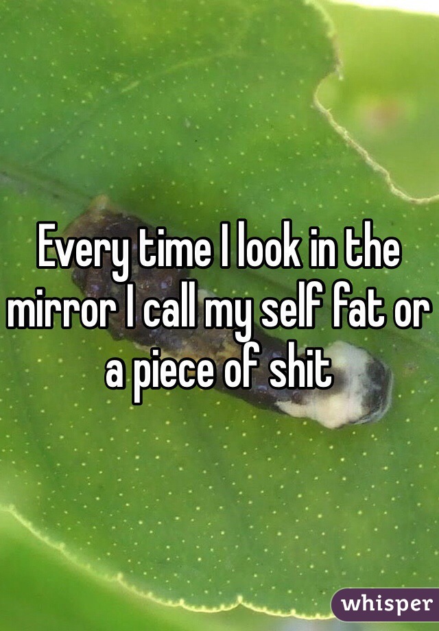 Every time I look in the mirror I call my self fat or a piece of shit