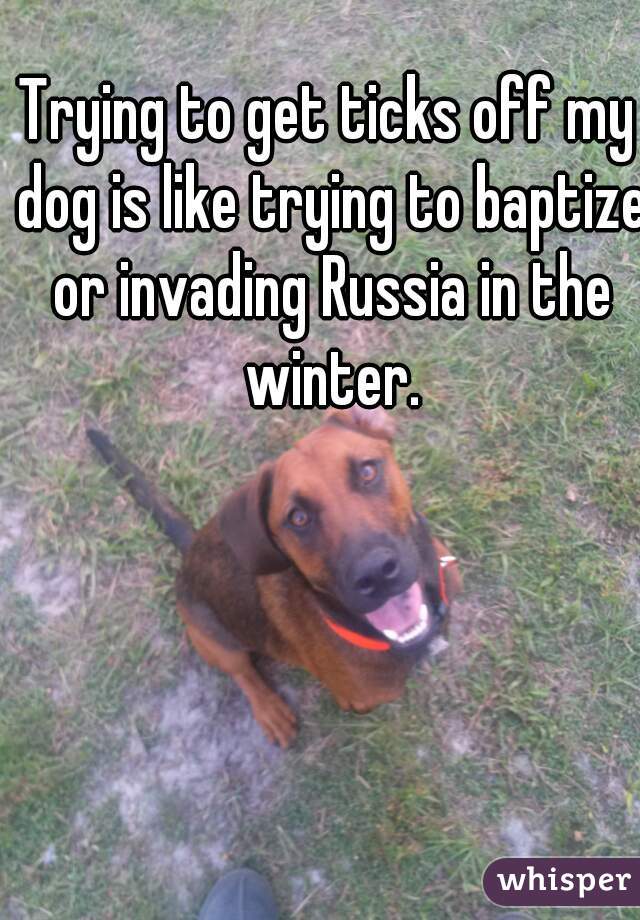 Trying to get ticks off my dog is like trying to baptize or invading Russia in the winter.