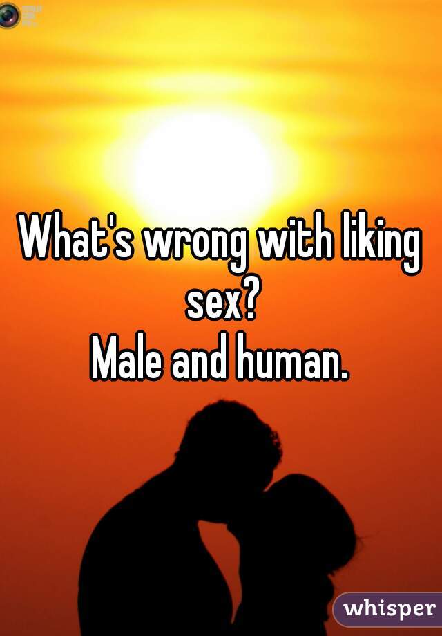 What's wrong with liking sex?

Male and human.