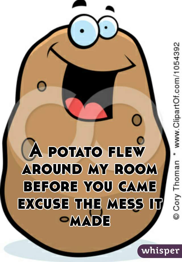 A potato flew around my room before you came excuse the mess it made