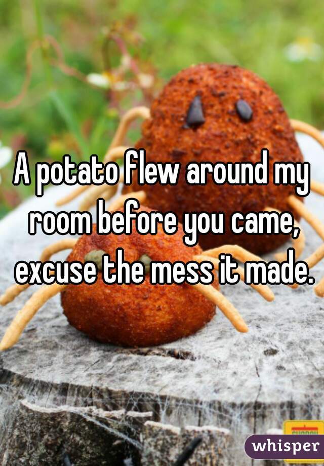 A potato flew around my room before you came, excuse the mess it made.