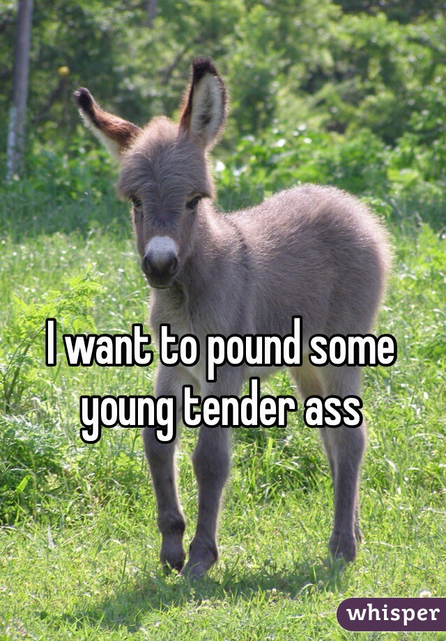 I want to pound some young tender ass
