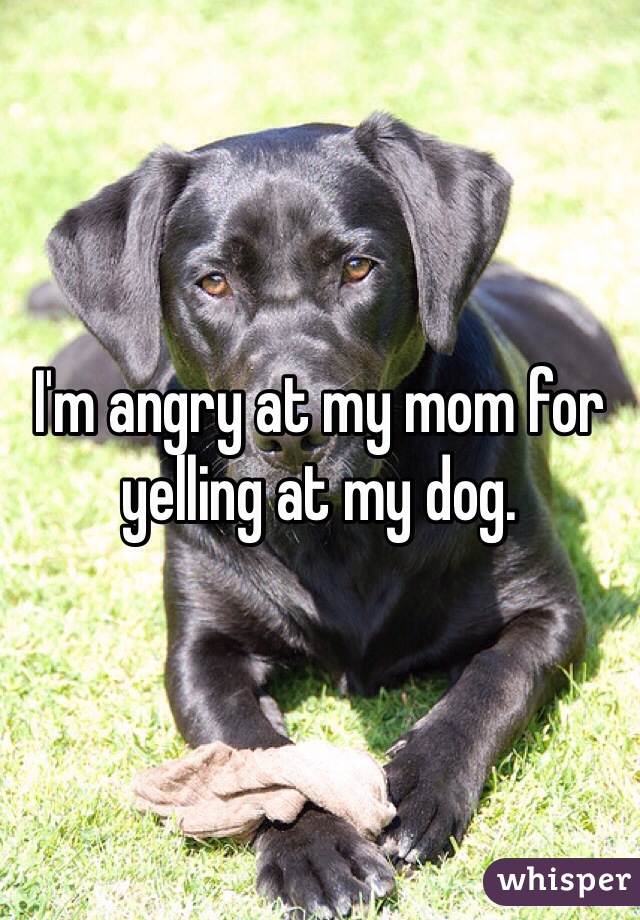 I'm angry at my mom for yelling at my dog. 