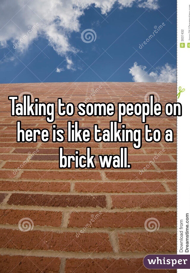 Talking to some people on here is like talking to a brick wall. 