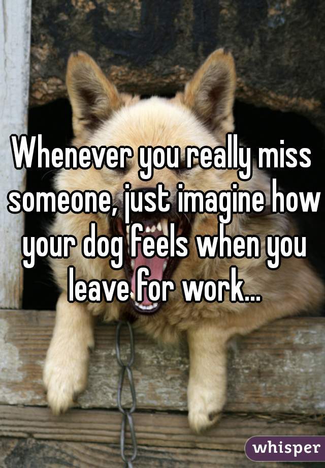 Whenever you really miss someone, just imagine how your dog feels when you leave for work...
