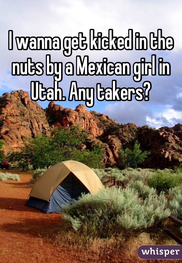 I wanna get kicked in the nuts by a Mexican girl in Utah. Any takers?