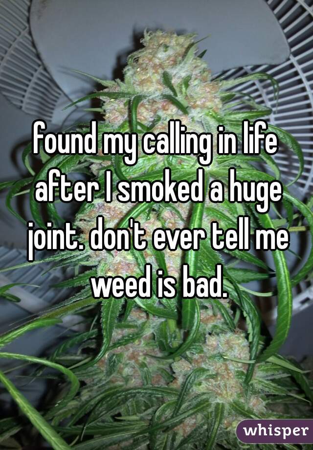 found my calling in life after I smoked a huge joint. don't ever tell me weed is bad.